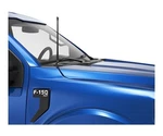 Rydonair Short Antenna Compatible With Ford F-150 2009-2025. Fixed Price $20.00.