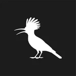 Hoopoe Open Beak Wildlife Vinyl Decal Window Birds Sticker. Fixed Price $7.49.