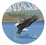 Eagle Water Lake 12" - Car Truck Window Bumper Graphics Sticker Decal Souvenir. Fixed Price $12.95.
